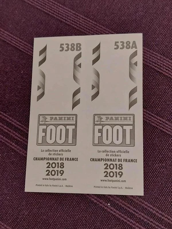 Panini / Sticker / FC Lorient / Foot 2018-2019 – photo 2